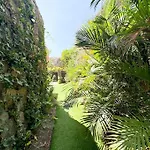 The Canarian Garden By Canaryscape Villa *