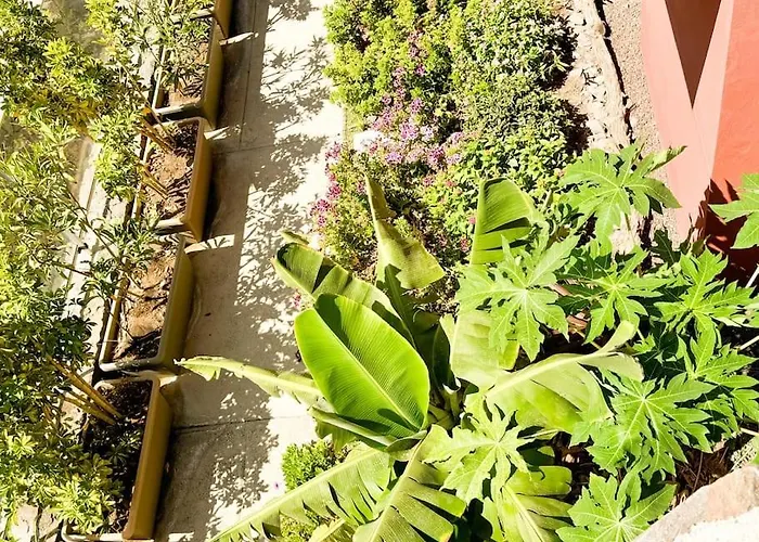 The Canarian Garden By Canaryscape Βίλα *