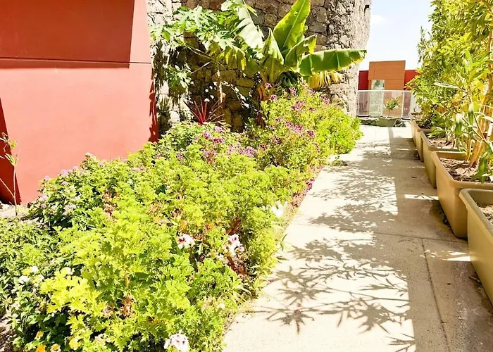 Βίλα The Canarian Garden By Canaryscape