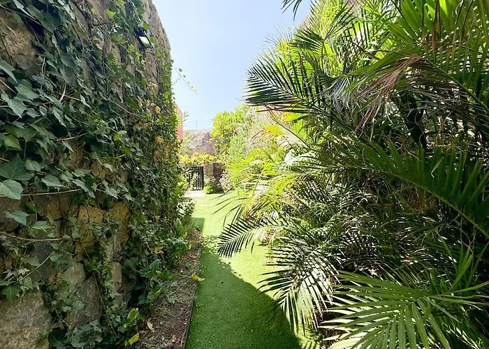 The Canarian Garden By Canaryscape Βίλα *