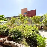 The Canarian Garden By Canaryscape