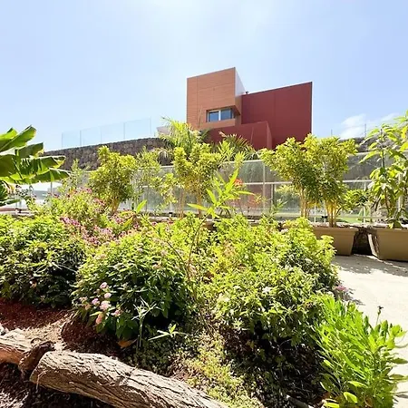 The Canarian Garden By Canaryscape