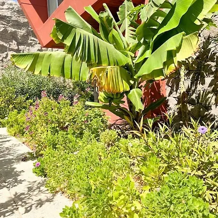 The Canarian Garden By Canaryscape Las Palmas de Gran Canaria