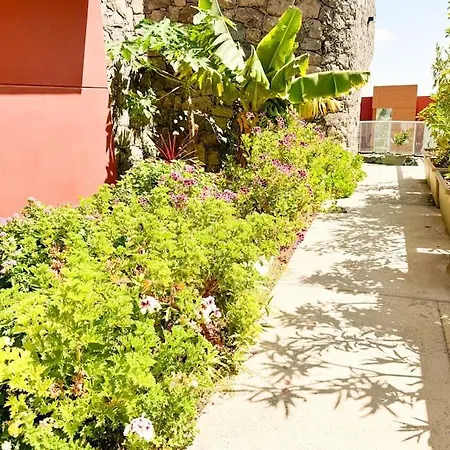 Villa The Canarian Garden By Canaryscape