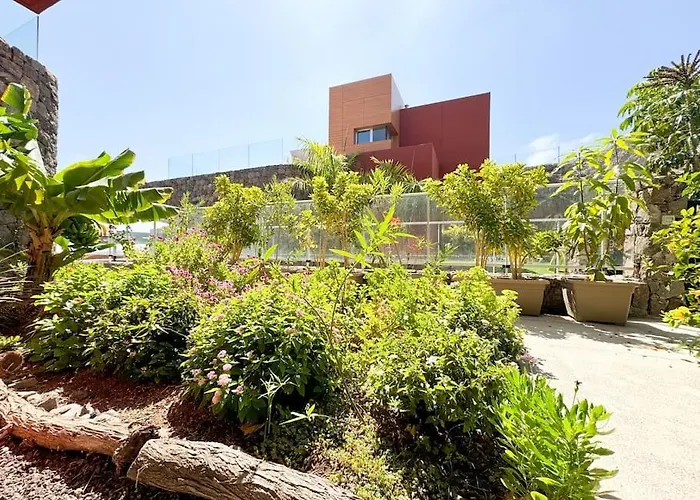 The Canarian Garden By Canaryscape