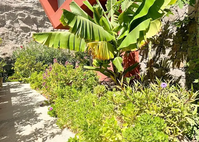 The Canarian Garden By Canaryscape Λας Πάλμας ντε Γκραν Κανάρια