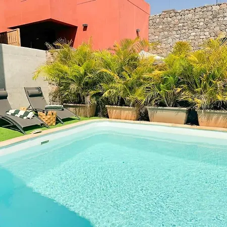 The Canarian Garden By Canaryscape * Las Palmas de Gran Canaria