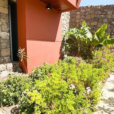 The Canarian Garden By Canaryscape Villa Las Palmas de Gran Canaria